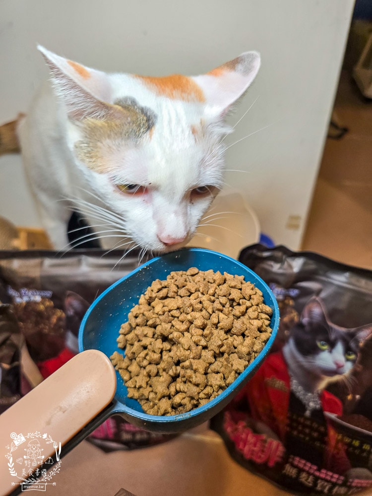 【鉑馡貓糧評價】珮慈星系 Pets Galaxy 開箱實測!全齡無麩質貓糧分享,終於找到低敏的主食 - 第8張圖 【鉑馡貓糧評價】珮慈星系 Pets Galaxy 開箱實測!全齡無麩質貓糧分享,終於找到低敏的主食