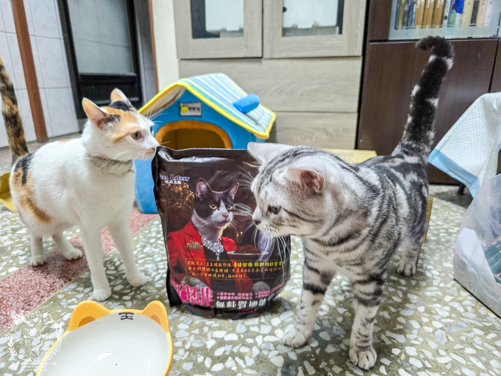 【鉑馡貓糧評價】珮慈星系 Pets Galaxy 開箱實測!全齡無麩質貓糧分享,終於找到低敏的主食 - 第14張圖 【鉑馡貓糧評價】珮慈星系 Pets Galaxy 開箱實測!全齡無麩質貓糧分享,終於找到低敏的主食