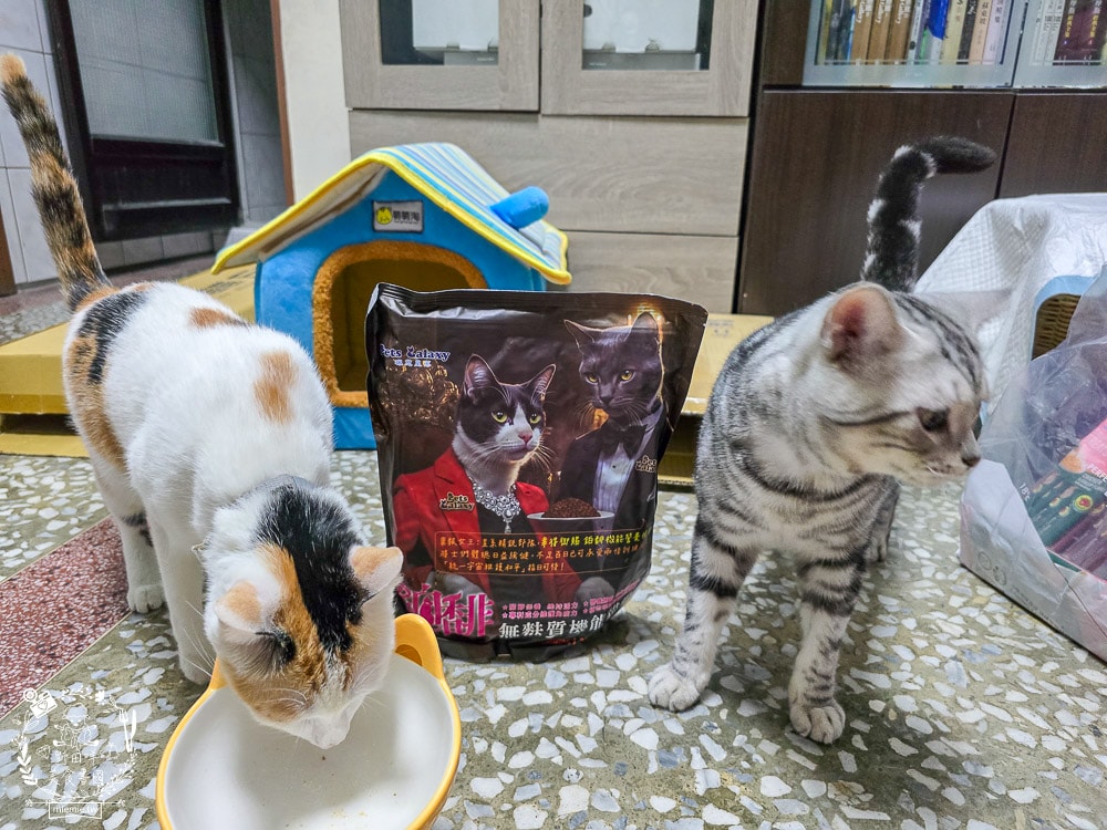 【鉑馡貓糧評價】珮慈星系 Pets Galaxy 開箱實測!全齡無麩質貓糧分享,終於找到低敏的主食 - 第15張圖 【鉑馡貓糧評價】珮慈星系 Pets Galaxy 開箱實測!全齡無麩質貓糧分享,終於找到低敏的主食