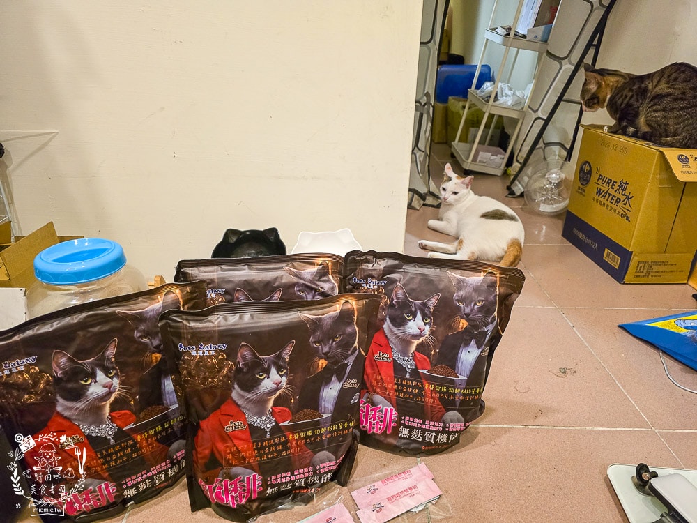 【鉑馡貓糧評價】珮慈星系 Pets Galaxy 開箱實測!全齡無麩質貓糧分享,終於找到低敏的主食 - 第2張圖 【鉑馡貓糧評價】珮慈星系 Pets Galaxy 開箱實測!全齡無麩質貓糧分享,終於找到低敏的主食