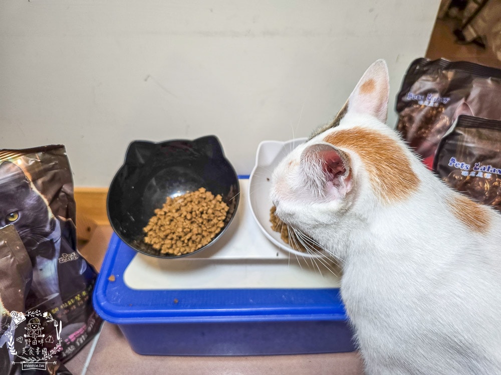 【鉑馡貓糧評價】珮慈星系 Pets Galaxy 開箱實測!全齡無麩質貓糧分享,終於找到低敏的主食 - 第12張圖 【鉑馡貓糧評價】珮慈星系 Pets Galaxy 開箱實測!全齡無麩質貓糧分享,終於找到低敏的主食