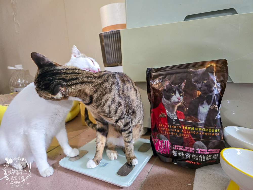 【鉑馡貓糧評價】珮慈星系 Pets Galaxy 開箱實測!全齡無麩質貓糧分享,終於找到低敏的主食 - 第5張圖 【鉑馡貓糧評價】珮慈星系 Pets Galaxy 開箱實測!全齡無麩質貓糧分享,終於找到低敏的主食