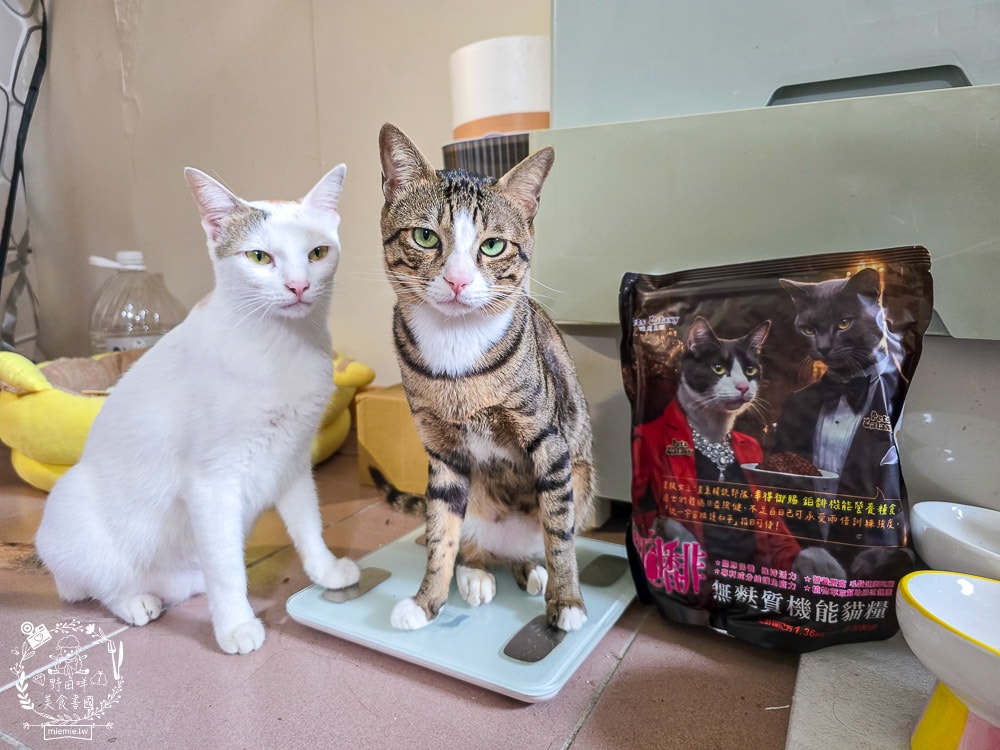 【鉑馡貓糧評價】珮慈星系 Pets Galaxy 開箱實測!全齡無麩質貓糧分享,終於找到低敏的主食 - 第4張圖 【鉑馡貓糧評價】珮慈星系 Pets Galaxy 開箱實測!全齡無麩質貓糧分享,終於找到低敏的主食