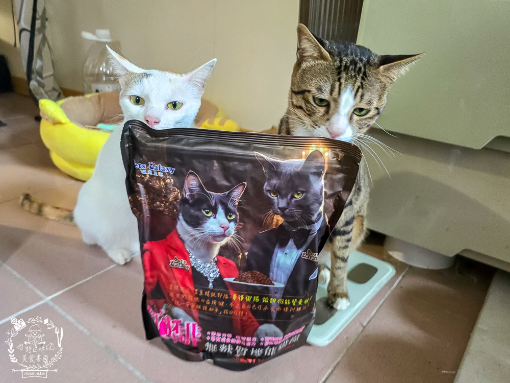 【鉑馡貓糧評價】珮慈星系 Pets Galaxy 開箱實測!全齡無麩質貓糧分享,終於找到低敏的主食 - 第17張圖 【鉑馡貓糧評價】珮慈星系 Pets Galaxy 開箱實測!全齡無麩質貓糧分享,終於找到低敏的主食