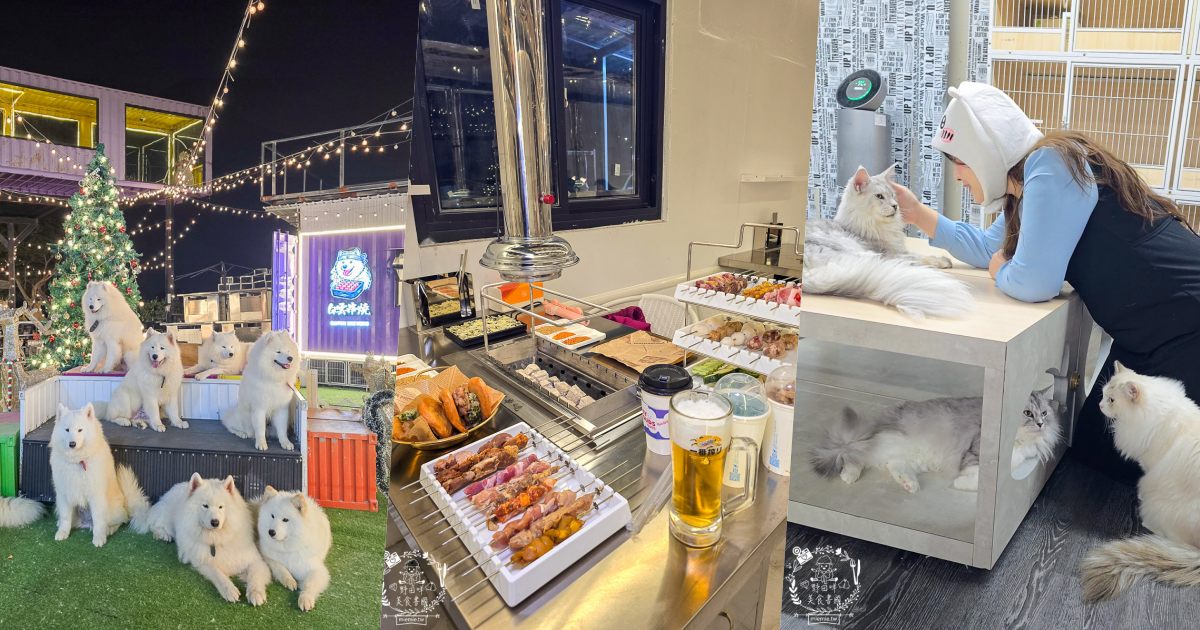 2026高雄旅遊推薦|小港大坪頂「微笑白雲」全攻略!薩摩耶、布偶貓陪你喝咖啡|看飛機夕陽的療癒天堂! - 第1張圖 2026高雄旅遊推薦|小港大坪頂「微笑白雲」全攻略!薩摩耶、布偶貓陪你喝咖啡|看飛機夕陽的療癒天堂!