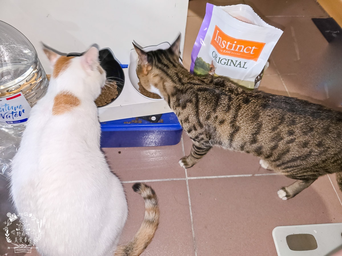 【幼貓飼料推薦】美國原點 Instinct 幼貓飼料評測：生食動力配方81%高含量鮮肉成分，還有WDJ連年推薦讓小貓發育贏在起跑點！