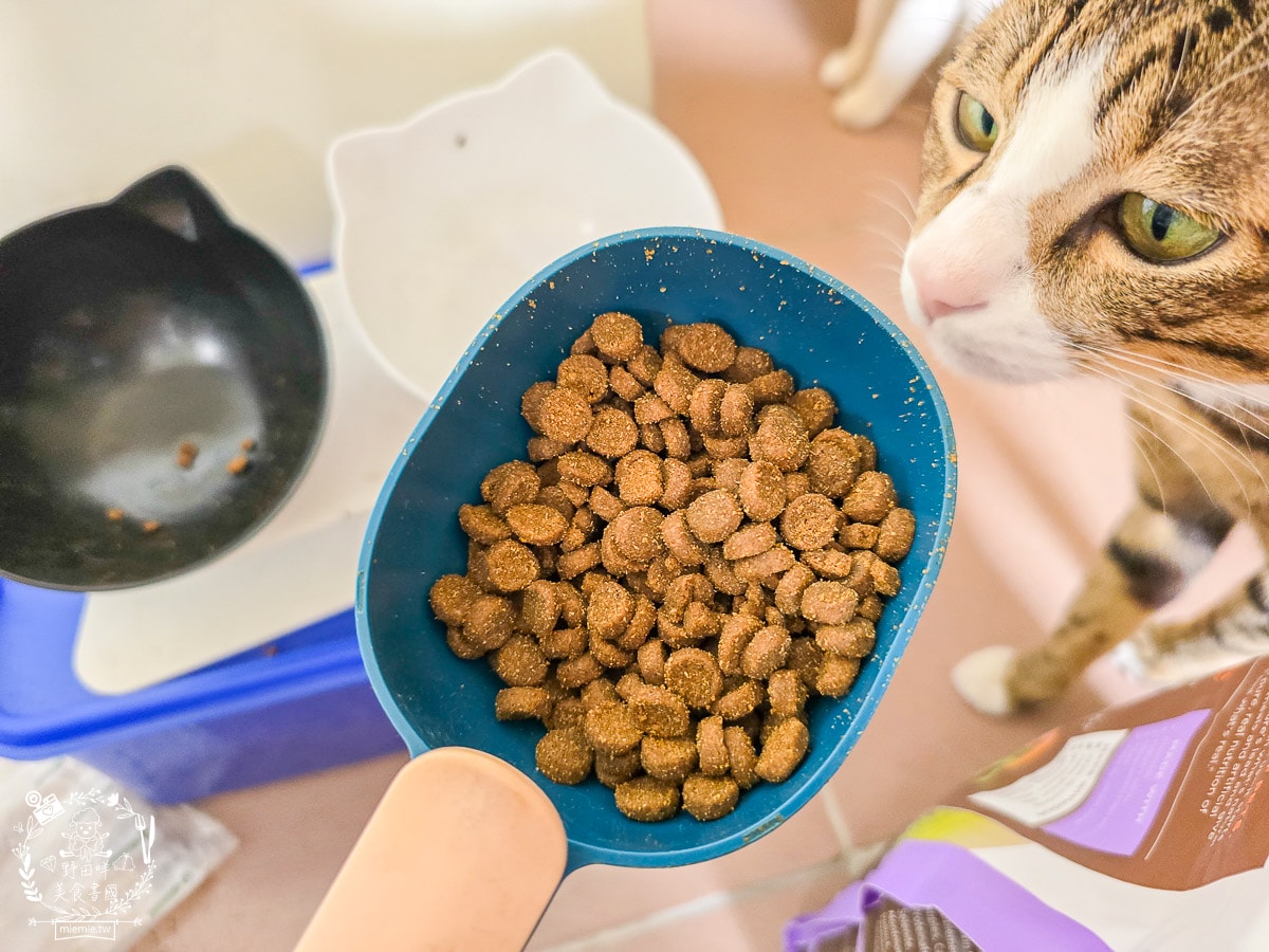 【幼貓飼料推薦】美國原點 Instinct 幼貓飼料評測：生食動力配方81%高含量鮮肉成分，還有WDJ連年推薦讓小貓發育贏在起跑點！