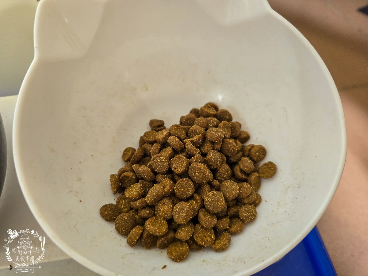 【幼貓飼料推薦】美國原點 Instinct 幼貓飼料評測：生食動力配方81%高含量鮮肉成分，還有WDJ連年推薦讓小貓發育贏在起跑點！