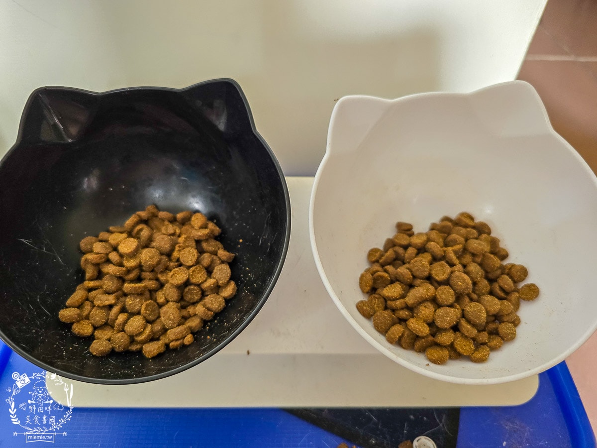 【幼貓飼料推薦】美國原點 Instinct 幼貓飼料評測：生食動力配方81%高含量鮮肉成分，還有WDJ連年推薦讓小貓發育贏在起跑點！