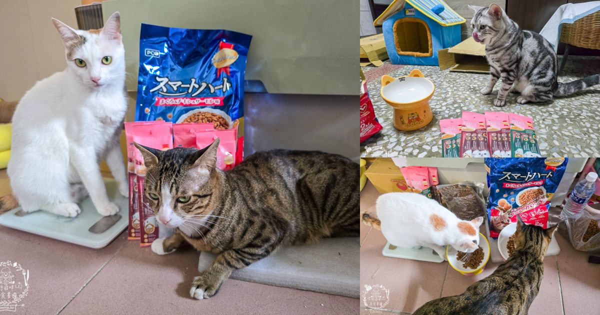 慧心貓糧評價挑食貓也瘋狂!慧心和風飼料「鮪魚雞肉鮭魚」與超人氣「扇貝肉泥」開箱推薦|SmartHeart 貓飼料 - 第1張圖 慧心貓糧評價挑食貓也瘋狂!慧心和風飼料「鮪魚雞肉鮭魚」與超人氣「扇貝肉泥」開箱推薦|SmartHeart 貓飼料