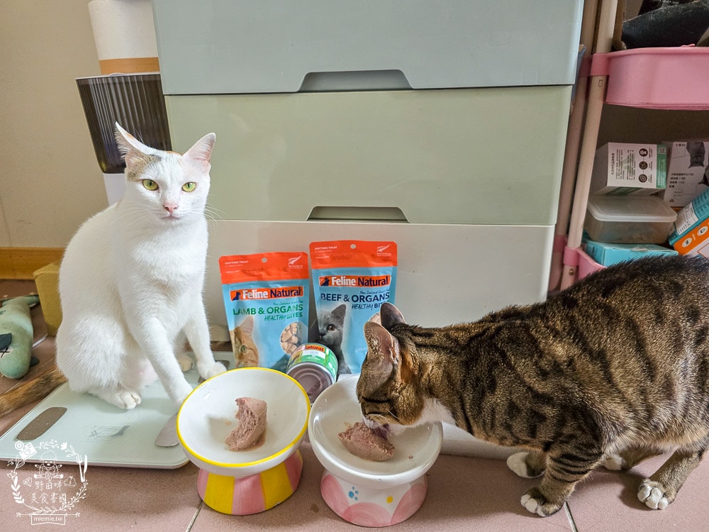 【Feline Natural評價】挑嘴貓必看!紐西蘭鮮燉無穀主食罐開箱,超人氣凍乾鮮肉零食推薦(牛肉/羊肉) - 第6張圖 【Feline Natural評價】挑嘴貓必看!紐西蘭鮮燉無穀主食罐開箱,超人氣凍乾鮮肉零食推薦(牛肉/羊肉)