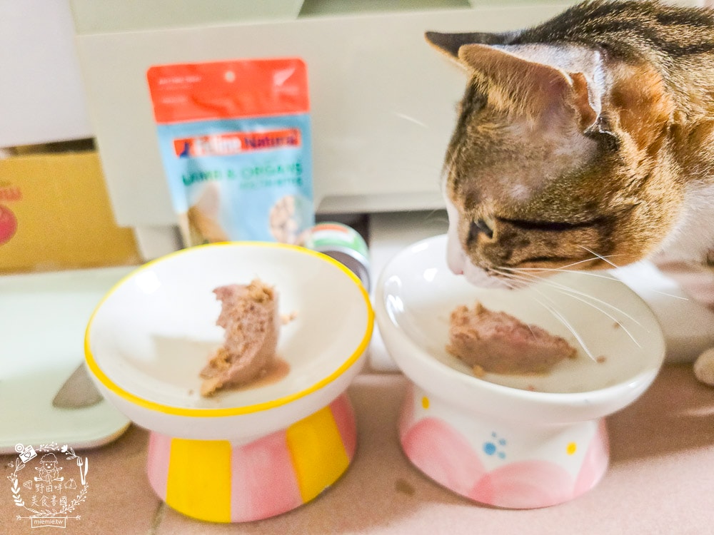 【Feline Natural評價】挑嘴貓必看!紐西蘭鮮燉無穀主食罐開箱,超人氣凍乾鮮肉零食推薦(牛肉/羊肉) - 第7張圖 【Feline Natural評價】挑嘴貓必看!紐西蘭鮮燉無穀主食罐開箱,超人氣凍乾鮮肉零食推薦(牛肉/羊肉)
