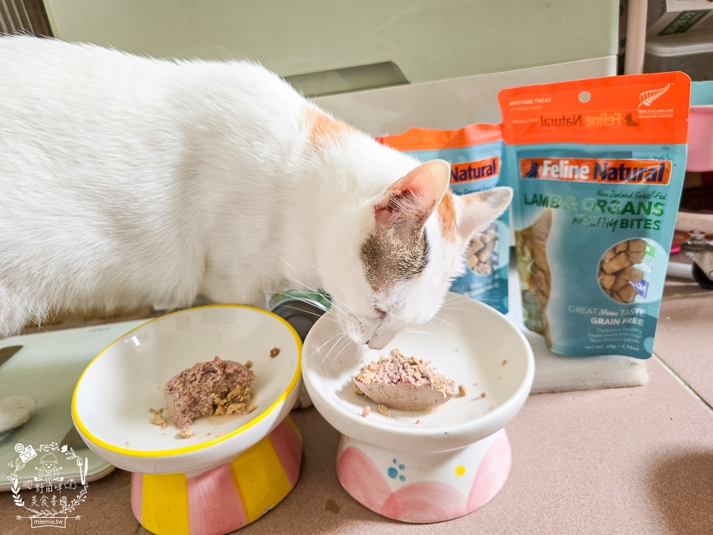 【Feline Natural評價】挑嘴貓必看!紐西蘭鮮燉無穀主食罐開箱,超人氣凍乾鮮肉零食推薦(牛肉/羊肉) - 第8張圖 【Feline Natural評價】挑嘴貓必看!紐西蘭鮮燉無穀主食罐開箱,超人氣凍乾鮮肉零食推薦(牛肉/羊肉)
