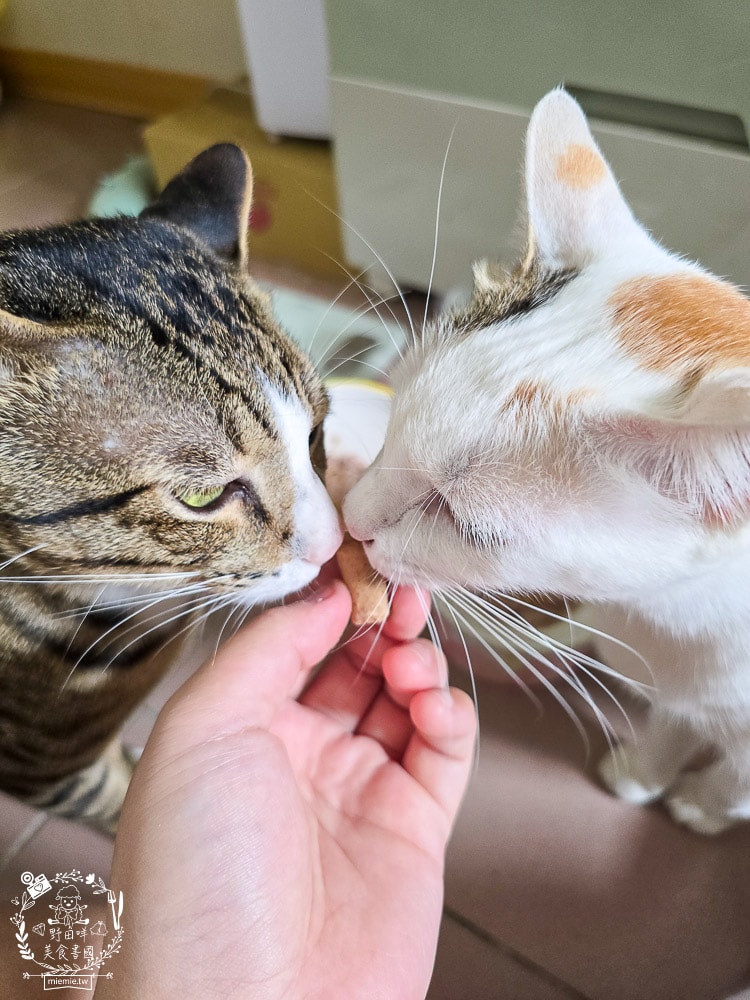【Feline Natural評價】挑嘴貓必看!紐西蘭鮮燉無穀主食罐開箱,超人氣凍乾鮮肉零食推薦(牛肉/羊肉) - 第14張圖 【Feline Natural評價】挑嘴貓必看!紐西蘭鮮燉無穀主食罐開箱,超人氣凍乾鮮肉零食推薦(牛肉/羊肉)
