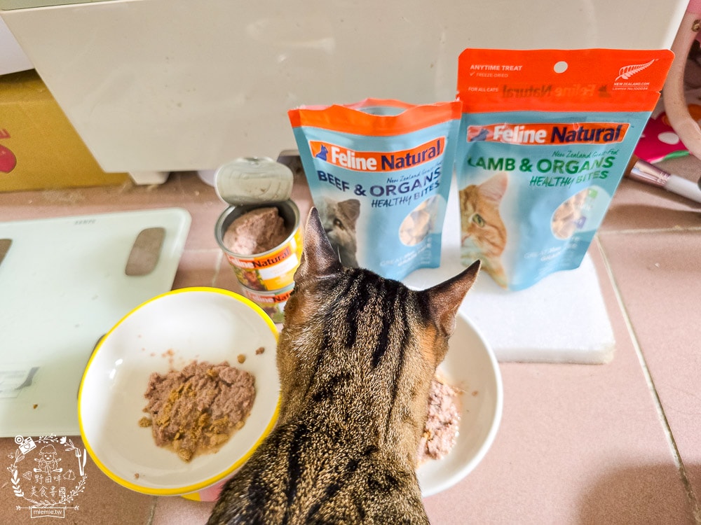 【Feline Natural評價】挑嘴貓必看!紐西蘭鮮燉無穀主食罐開箱,超人氣凍乾鮮肉零食推薦(牛肉/羊肉) - 第11張圖 【Feline Natural評價】挑嘴貓必看!紐西蘭鮮燉無穀主食罐開箱,超人氣凍乾鮮肉零食推薦(牛肉/羊肉)