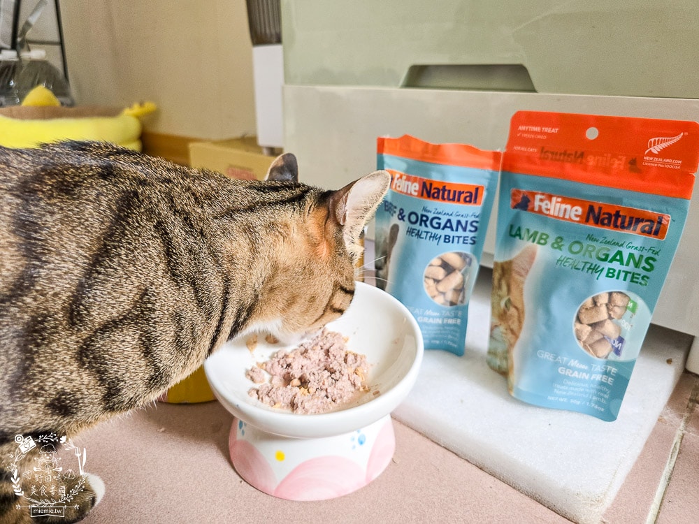 【Feline Natural評價】挑嘴貓必看!紐西蘭鮮燉無穀主食罐開箱,超人氣凍乾鮮肉零食推薦(牛肉/羊肉) - 第12張圖 【Feline Natural評價】挑嘴貓必看!紐西蘭鮮燉無穀主食罐開箱,超人氣凍乾鮮肉零食推薦(牛肉/羊肉)