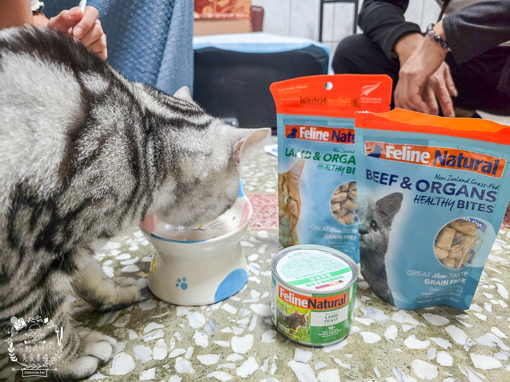【Feline Natural評價】挑嘴貓必看!紐西蘭鮮燉無穀主食罐開箱,超人氣凍乾鮮肉零食推薦(牛肉/羊肉) - 第17張圖 【Feline Natural評價】挑嘴貓必看!紐西蘭鮮燉無穀主食罐開箱,超人氣凍乾鮮肉零食推薦(牛肉/羊肉)