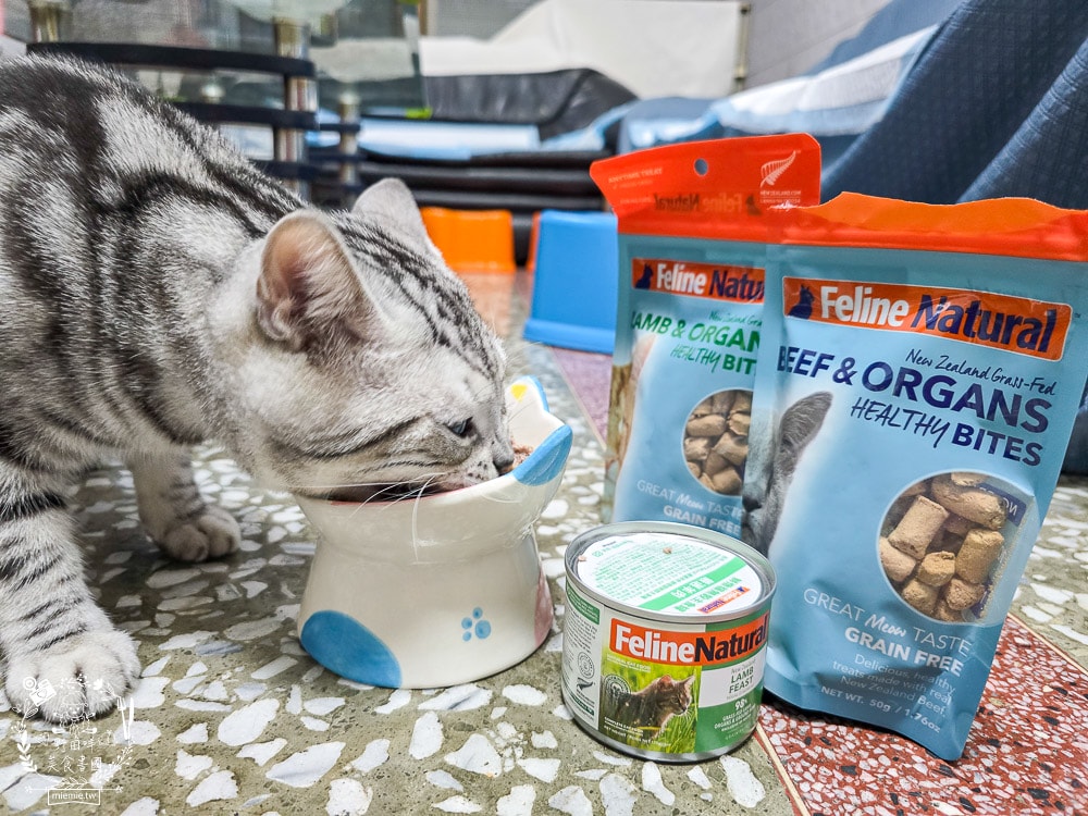 【Feline Natural評價】挑嘴貓必看!紐西蘭鮮燉無穀主食罐開箱,超人氣凍乾鮮肉零食推薦(牛肉/羊肉) - 第20張圖 【Feline Natural評價】挑嘴貓必看!紐西蘭鮮燉無穀主食罐開箱,超人氣凍乾鮮肉零食推薦(牛肉/羊肉)