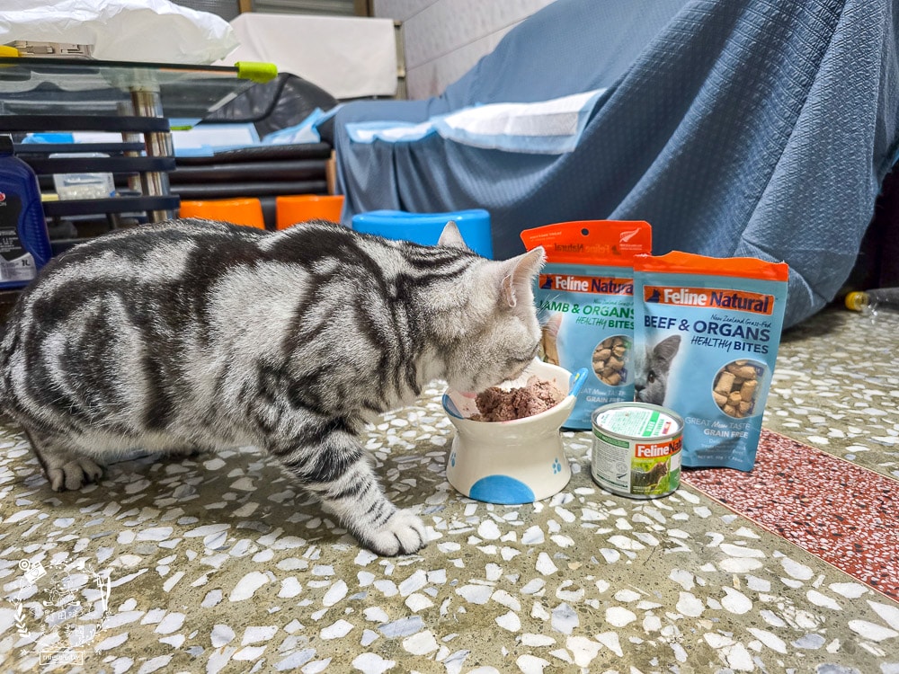 【Feline Natural評價】挑嘴貓必看!紐西蘭鮮燉無穀主食罐開箱,超人氣凍乾鮮肉零食推薦(牛肉/羊肉) - 第21張圖 【Feline Natural評價】挑嘴貓必看!紐西蘭鮮燉無穀主食罐開箱,超人氣凍乾鮮肉零食推薦(牛肉/羊肉)