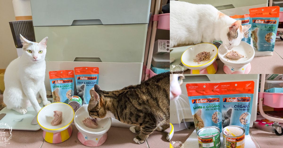 【Feline Natural評價】挑嘴貓必看!紐西蘭鮮燉無穀主食罐開箱,超人氣凍乾鮮肉零食推薦(牛肉/羊肉) - 第1張圖 【Feline Natural評價】挑嘴貓必看!紐西蘭鮮燉無穀主食罐開箱,超人氣凍乾鮮肉零食推薦(牛肉/羊肉)