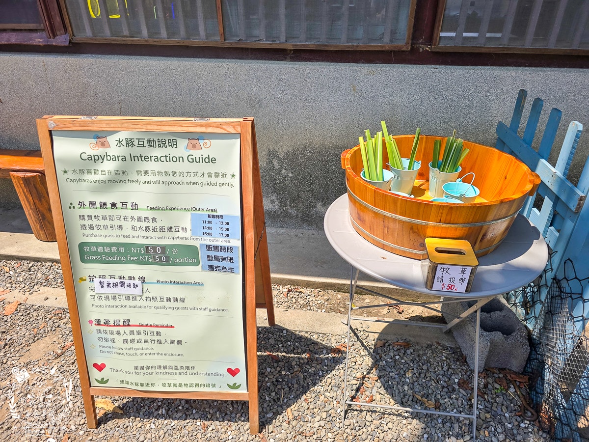 【台南免費景點】安平出張所（夕遊出張所）全攻略：超療癒水豚互動、366色生日鹽、百年日式老宅散策！