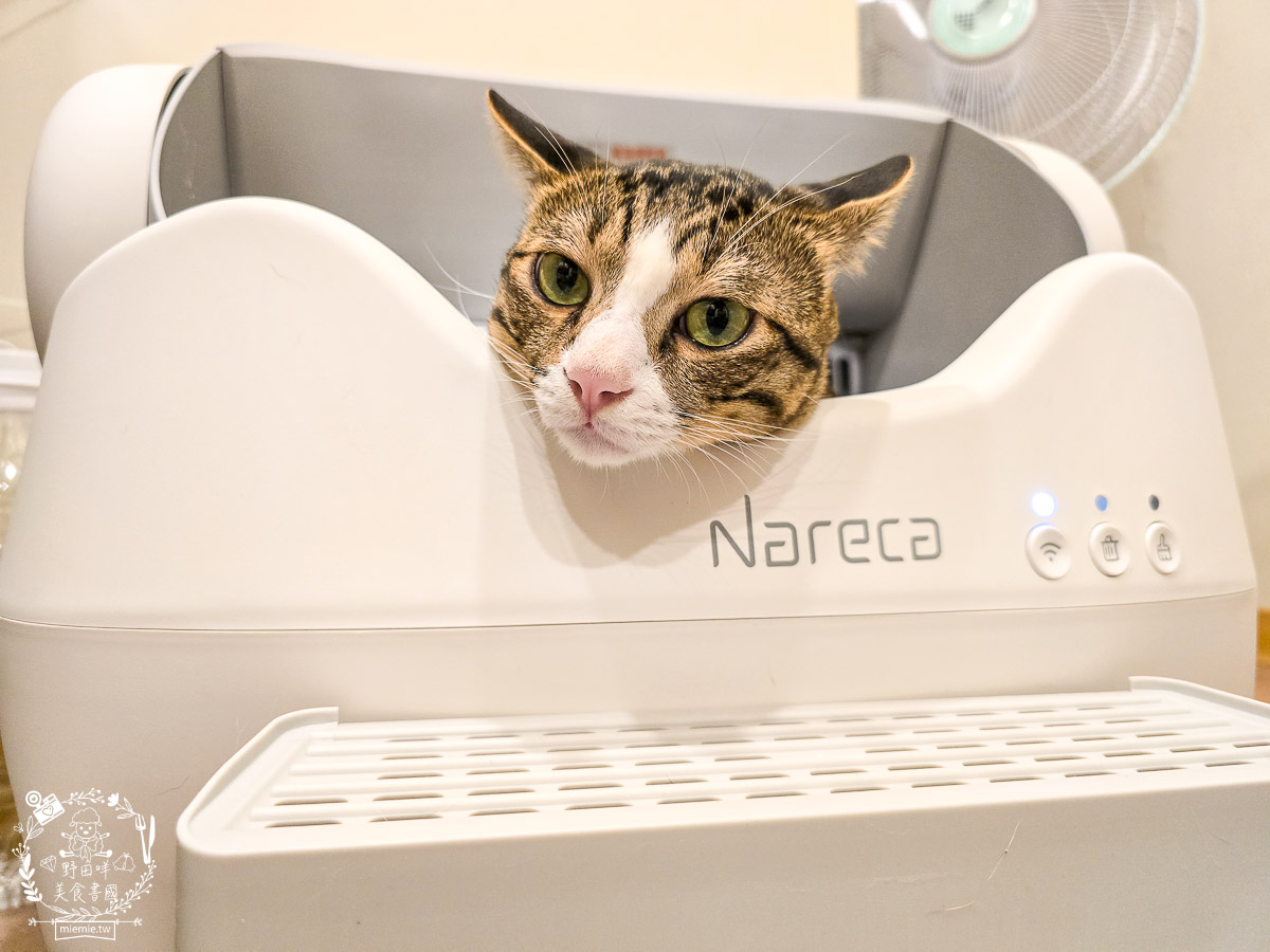 【防夾自動貓砂機推薦】Nareca娜芮家喵淨界智慧貓砂機 PureBot S10 評價開箱|5重安全防夾、全景開放設計,多貓家庭必備的APP智慧健康監控、喵淨界貓砂機評價/開放式自動貓砂盆推薦 - 第7張圖 【防夾自動貓砂機推薦】Nareca娜芮家喵淨界智慧貓砂機 PureBot S10 評價開箱|5重安全防夾、全景開放設計,多貓家庭必備的APP智慧健康監控、喵淨界貓砂機評價/開放式自動貓砂盆推薦