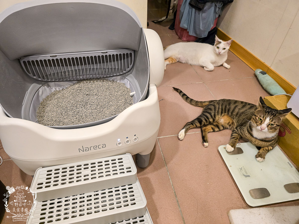 【防夾自動貓砂機推薦】Nareca娜芮家喵淨界智慧貓砂機 PureBot S10 評價開箱|5重安全防夾、全景開放設計,多貓家庭必備的APP智慧健康監控、喵淨界貓砂機評價/開放式自動貓砂盆推薦 - 第30張圖 【防夾自動貓砂機推薦】Nareca娜芮家喵淨界智慧貓砂機 PureBot S10 評價開箱|5重安全防夾、全景開放設計,多貓家庭必備的APP智慧健康監控、喵淨界貓砂機評價/開放式自動貓砂盆推薦