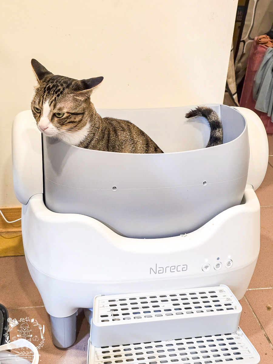 【防夾自動貓砂機推薦】Nareca娜芮家喵淨界智慧貓砂機 PureBot S10 評價開箱|5重安全防夾、全景開放設計,多貓家庭必備的APP智慧健康監控、喵淨界貓砂機評價/開放式自動貓砂盆推薦 - 第12張圖 【防夾自動貓砂機推薦】Nareca娜芮家喵淨界智慧貓砂機 PureBot S10 評價開箱|5重安全防夾、全景開放設計,多貓家庭必備的APP智慧健康監控、喵淨界貓砂機評價/開放式自動貓砂盆推薦