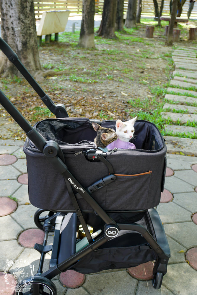 寵物推車推薦[Capucci卡布奇多功能寵物車]可2in1多功能使用+一鍵收納超方便+內附兩個防跳脫掛勾超適合貓咪的寵物推車