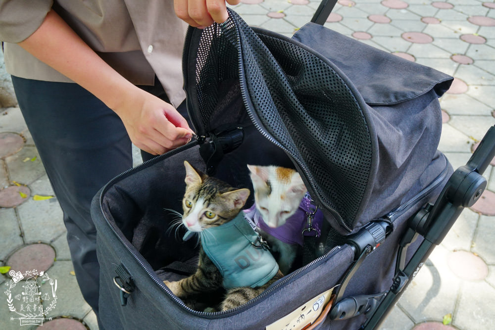 寵物推車推薦[Capucci卡布奇多功能寵物車]可2in1多功能使用+一鍵收納超方便+內附兩個防跳脫掛勾超適合貓咪的寵物推車