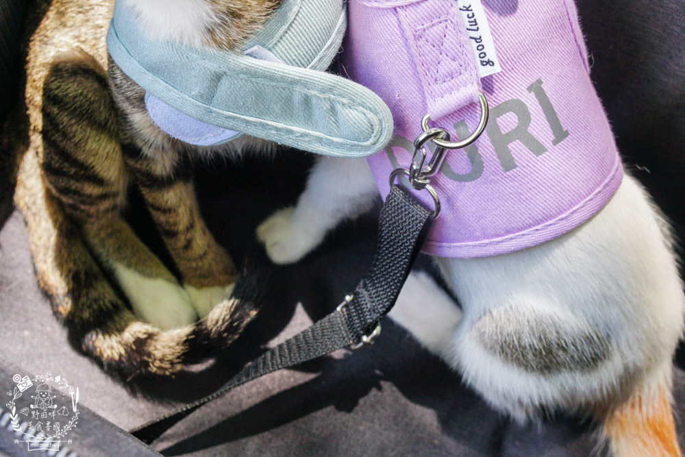 寵物推車推薦[Capucci卡布奇多功能寵物車]可2in1多功能使用+一鍵收納超方便+內附兩個防跳脫掛勾超適合貓咪的寵物推車