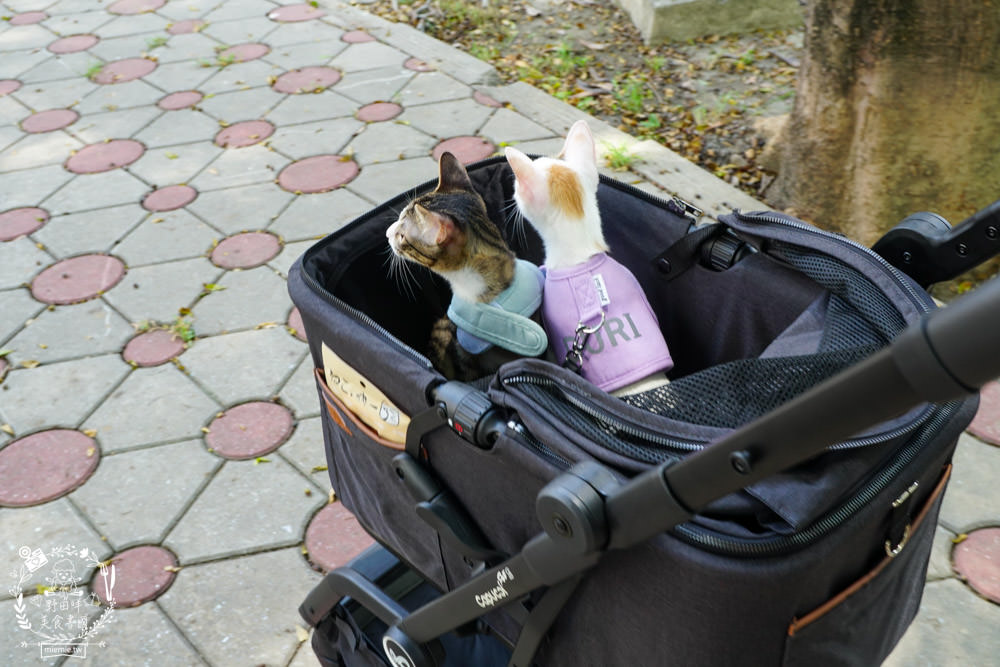 寵物推車推薦[Capucci卡布奇多功能寵物車]可2in1多功能使用+一鍵收納超方便+內附兩個防跳脫掛勾超適合貓咪的寵物推車