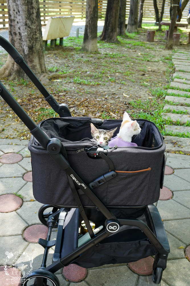 寵物推車推薦[Capucci卡布奇多功能寵物車]可2in1多功能使用+一鍵收納超方便+內附兩個防跳脫掛勾超適合貓咪的寵物推車