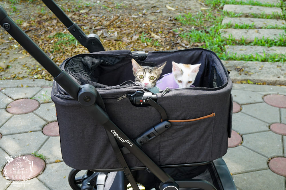 寵物推車推薦[Capucci卡布奇多功能寵物車]可2in1多功能使用+一鍵收納超方便+內附兩個防跳脫掛勾超適合貓咪的寵物推車