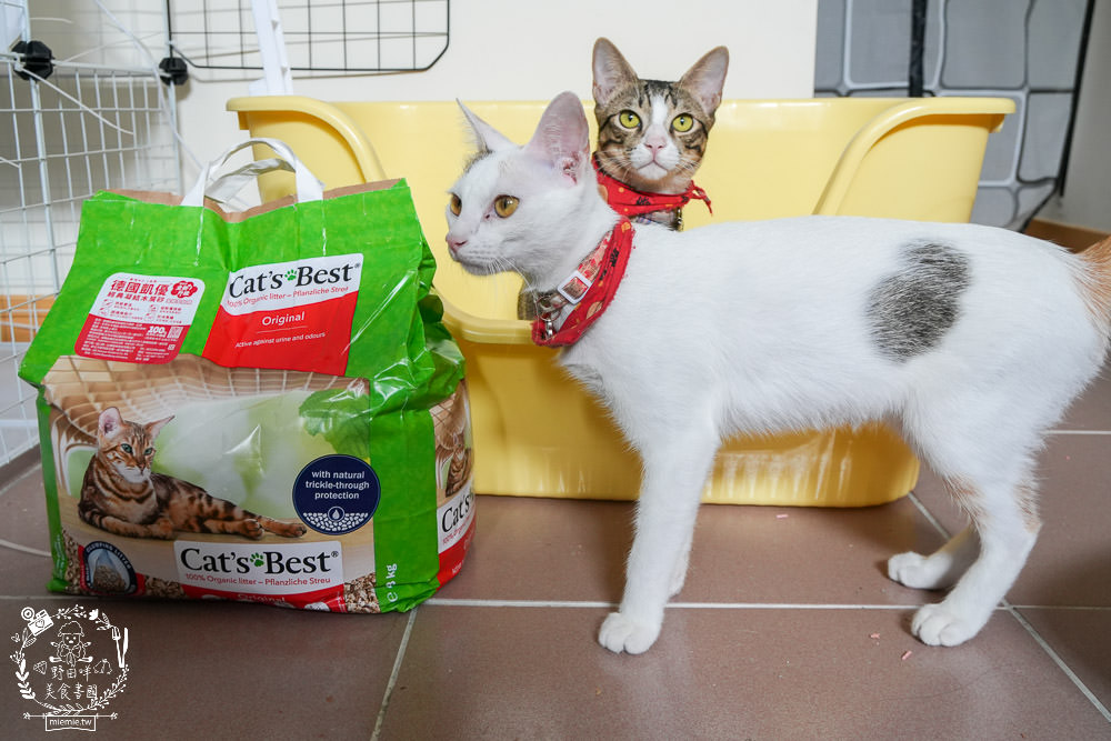 Cat’s Best德國凱優(紅標)凝結木屑砂-經典|吸附力強又無粉塵的貓砂推薦! - 第3張圖 Cat’s Best德國凱優(紅標)凝結木屑砂-經典|吸附力強又無粉塵的貓砂推薦!