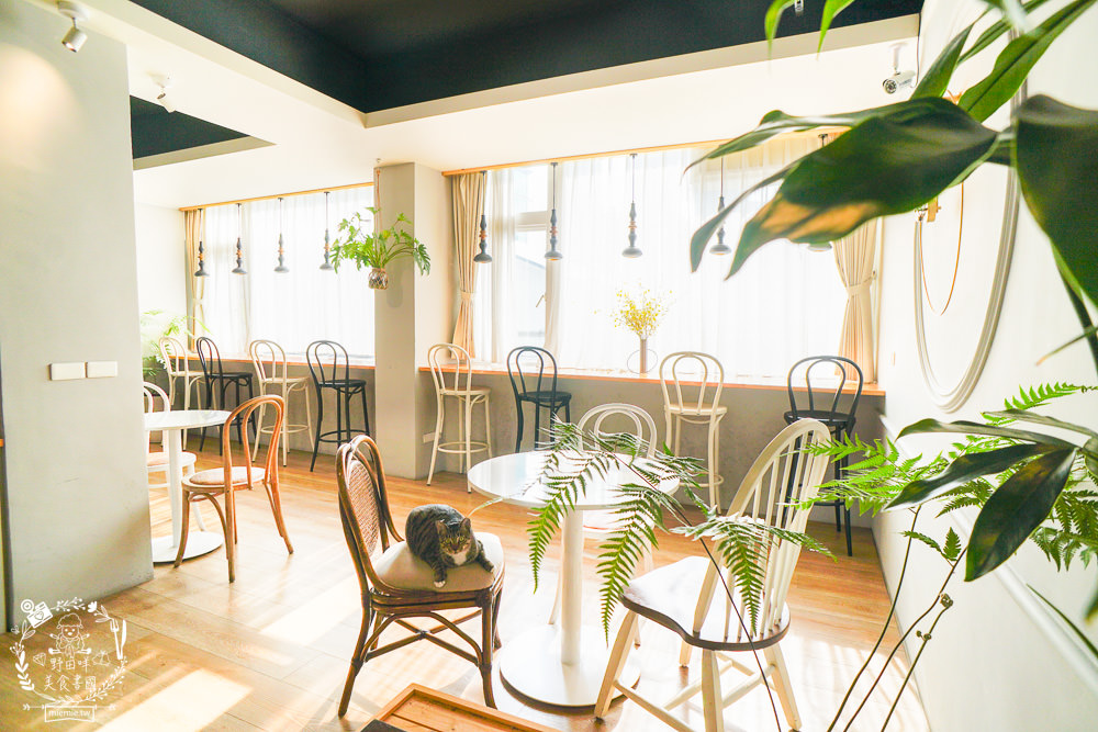 高雄[典．咖啡Grace Café]絕美北歐風熱門IG打卡網美咖啡廳!超療癒的甜點下午茶時光!裡面還有可愛店狗與喵喵?