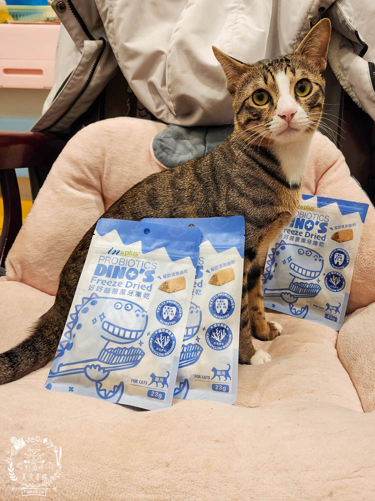 貓咪口臭推薦!IN-Plus好好益菌潔牙凍乾評價!鮮肉凍乾、好吃有效的貓咪口腔清潔保健分享