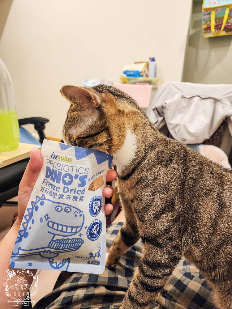 貓咪口臭推薦!IN-Plus好好益菌潔牙凍乾評價!鮮肉凍乾、好吃有效的貓咪口腔清潔保健分享