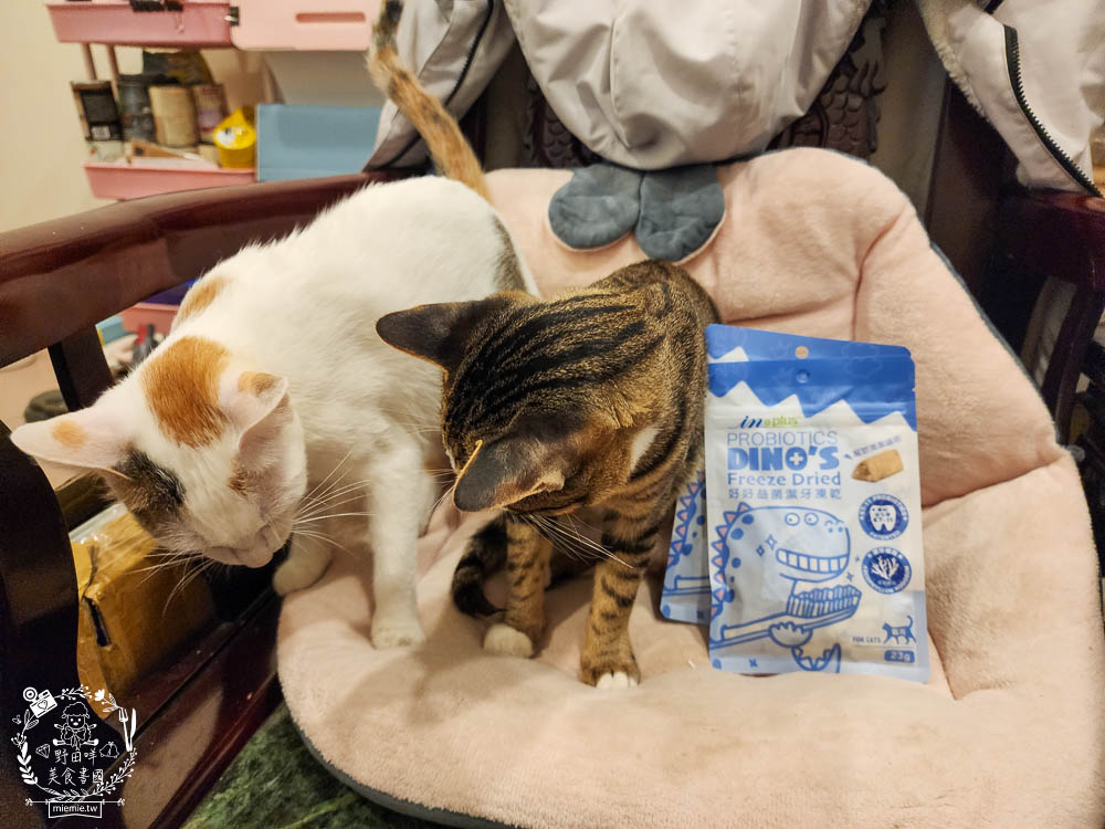 貓咪口臭推薦!IN-Plus好好益菌潔牙凍乾評價!鮮肉凍乾、好吃有效的貓咪口腔清潔保健分享