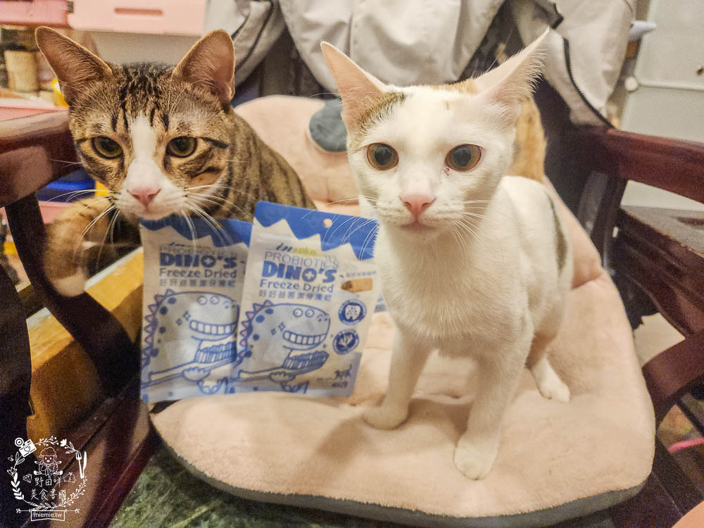 貓咪口臭推薦!IN-Plus好好益菌潔牙凍乾評價!鮮肉凍乾、好吃有效的貓咪口腔清潔保健分享