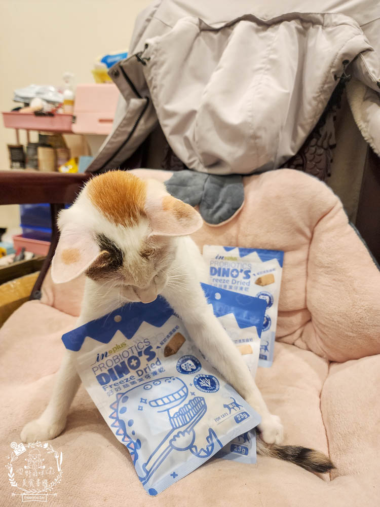 貓咪口臭推薦!IN-Plus好好益菌潔牙凍乾評價!鮮肉凍乾、好吃有效的貓咪口腔清潔保健分享