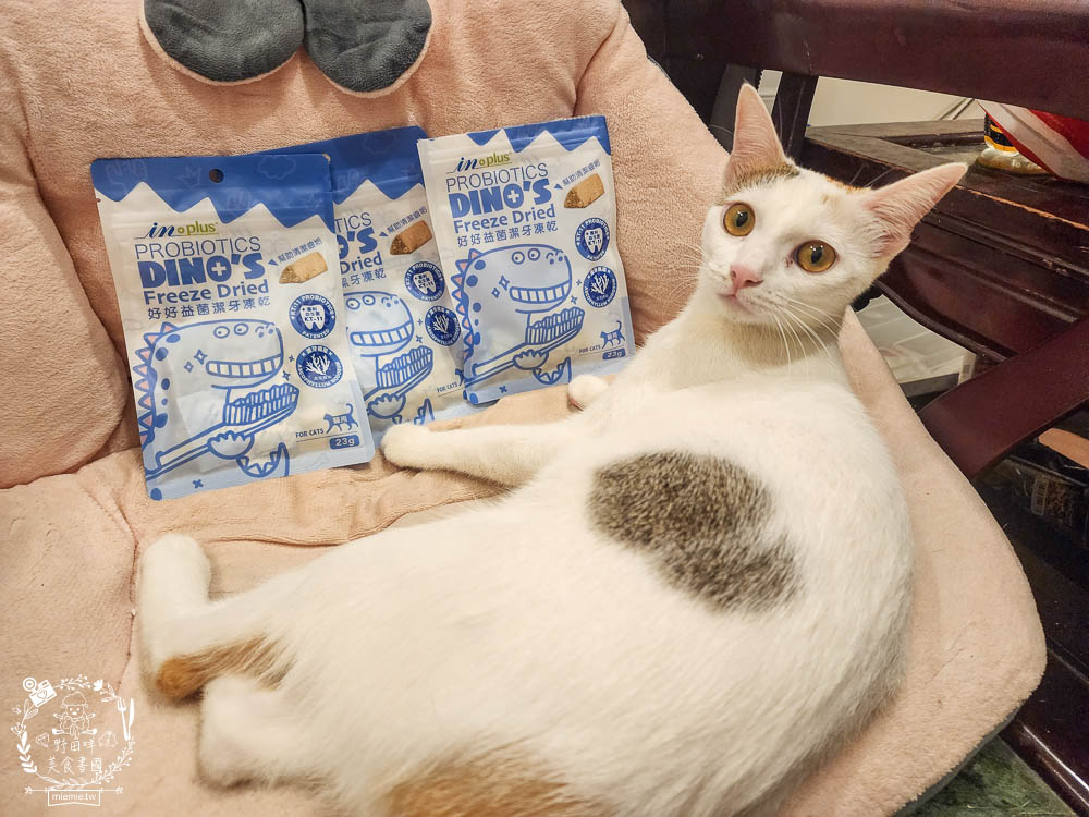 貓咪口臭推薦!IN-Plus好好益菌潔牙凍乾評價!鮮肉凍乾、好吃有效的貓咪口腔清潔保健分享