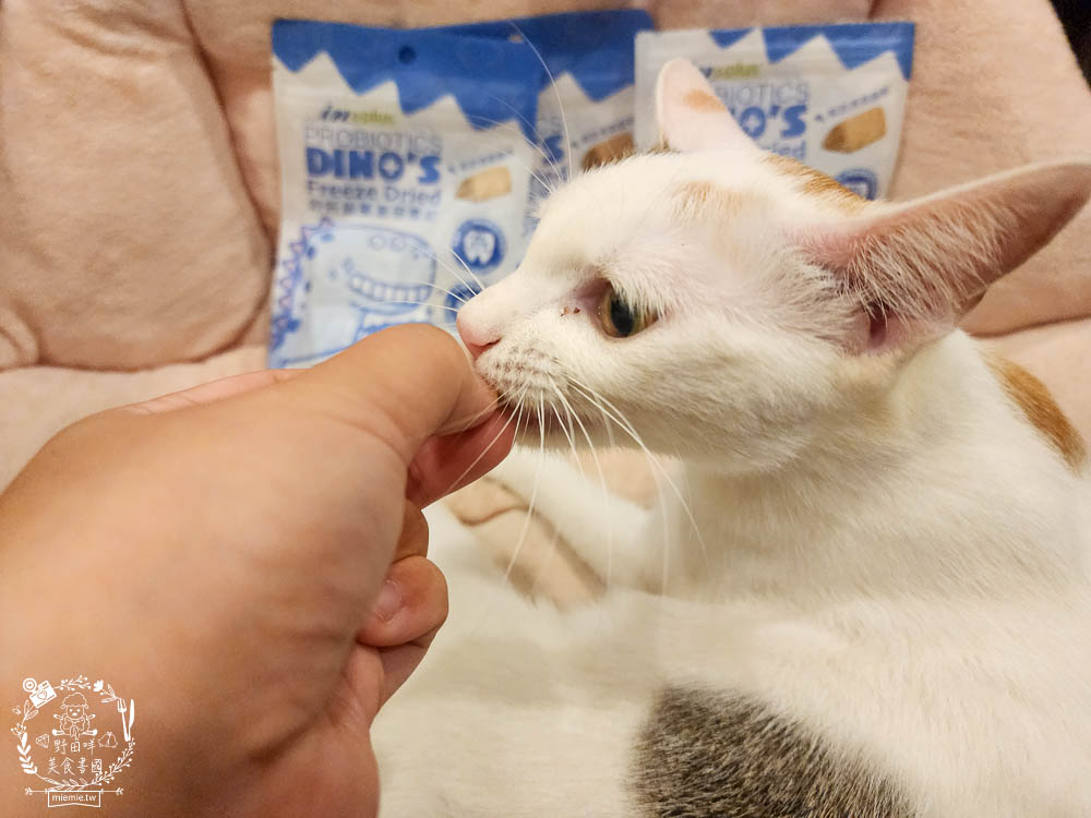 貓咪口臭推薦!IN-Plus好好益菌潔牙凍乾評價!鮮肉凍乾、好吃有效的貓咪口腔清潔保健分享