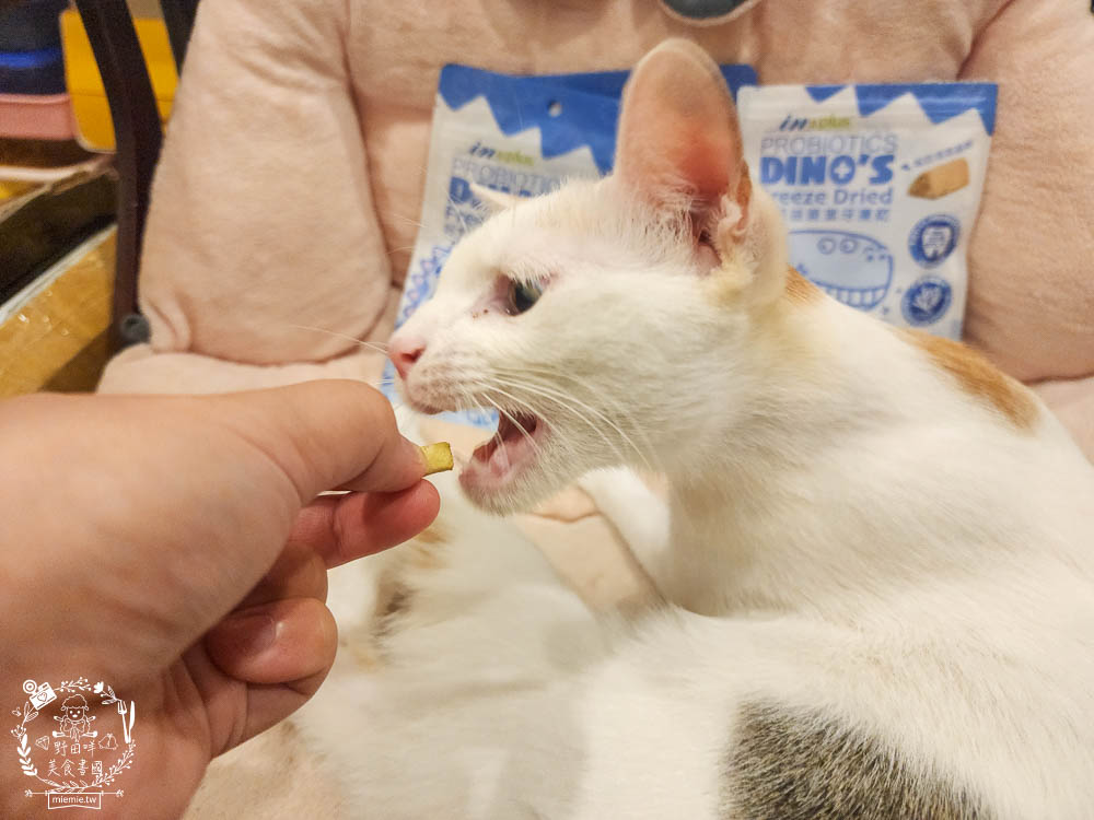 貓咪口臭推薦!IN-Plus好好益菌潔牙凍乾評價!鮮肉凍乾、好吃有效的貓咪口腔清潔保健分享