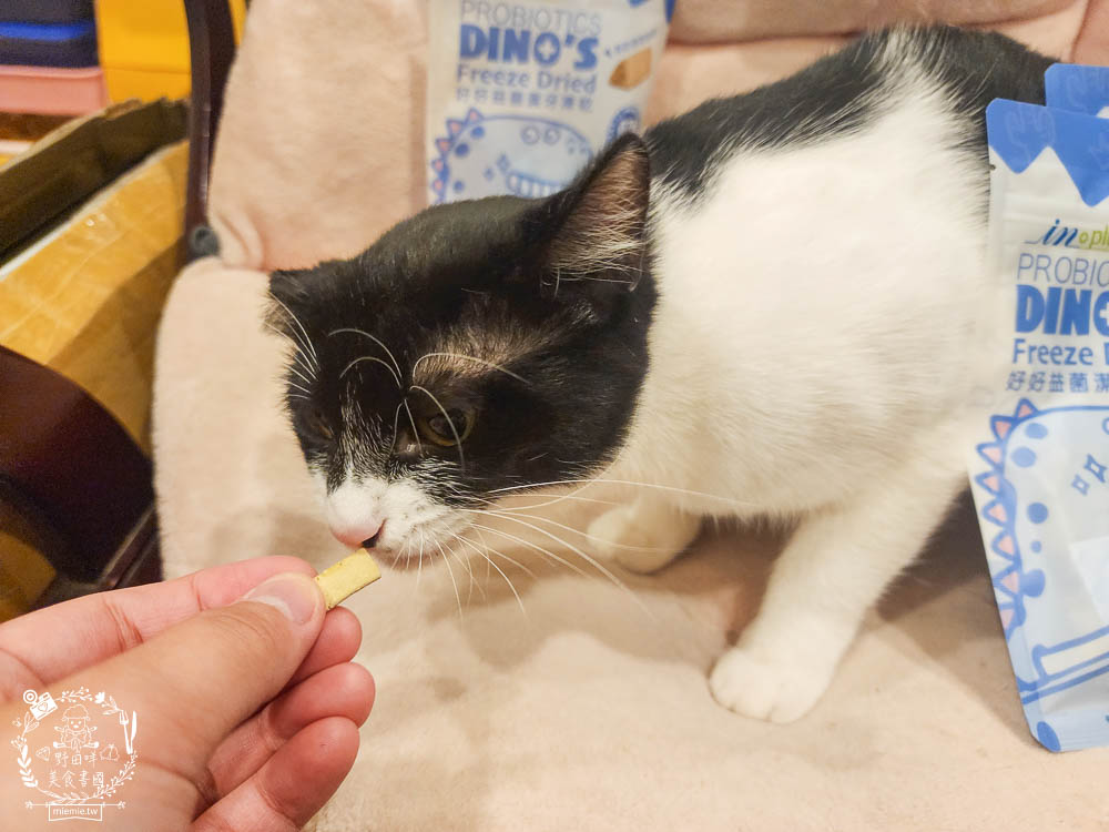 貓咪口臭推薦!IN-Plus好好益菌潔牙凍乾評價!鮮肉凍乾、好吃有效的貓咪口腔清潔保健分享
