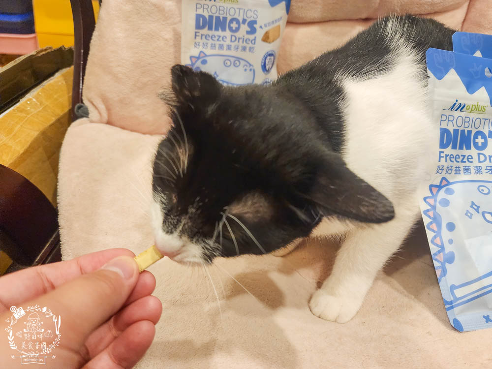 貓咪口臭推薦!IN-Plus好好益菌潔牙凍乾評價!鮮肉凍乾、好吃有效的貓咪口腔清潔保健分享