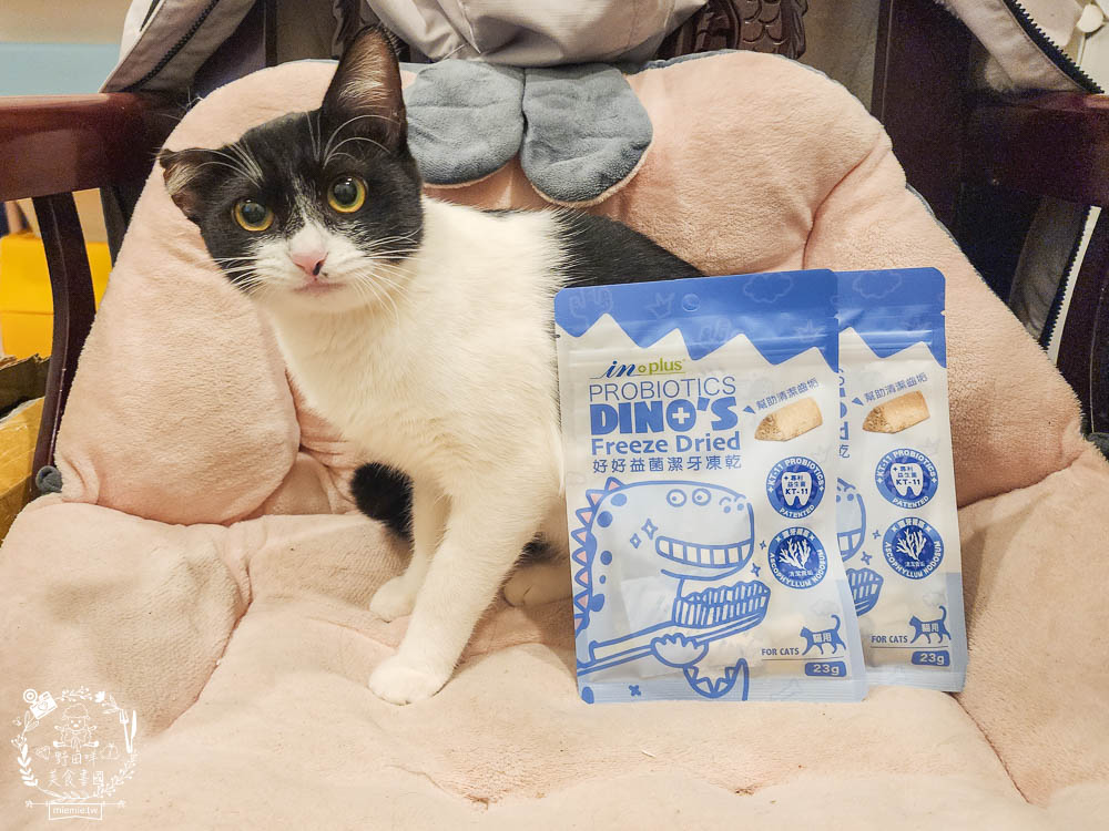 貓咪口臭推薦!IN-Plus好好益菌潔牙凍乾評價!鮮肉凍乾、好吃有效的貓咪口腔清潔保健分享