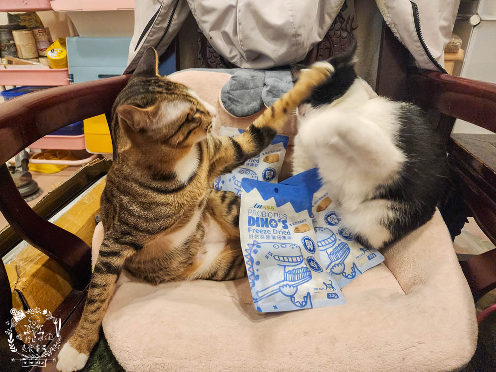 貓咪口臭推薦!IN-Plus好好益菌潔牙凍乾評價!鮮肉凍乾、好吃有效的貓咪口腔清潔保健分享