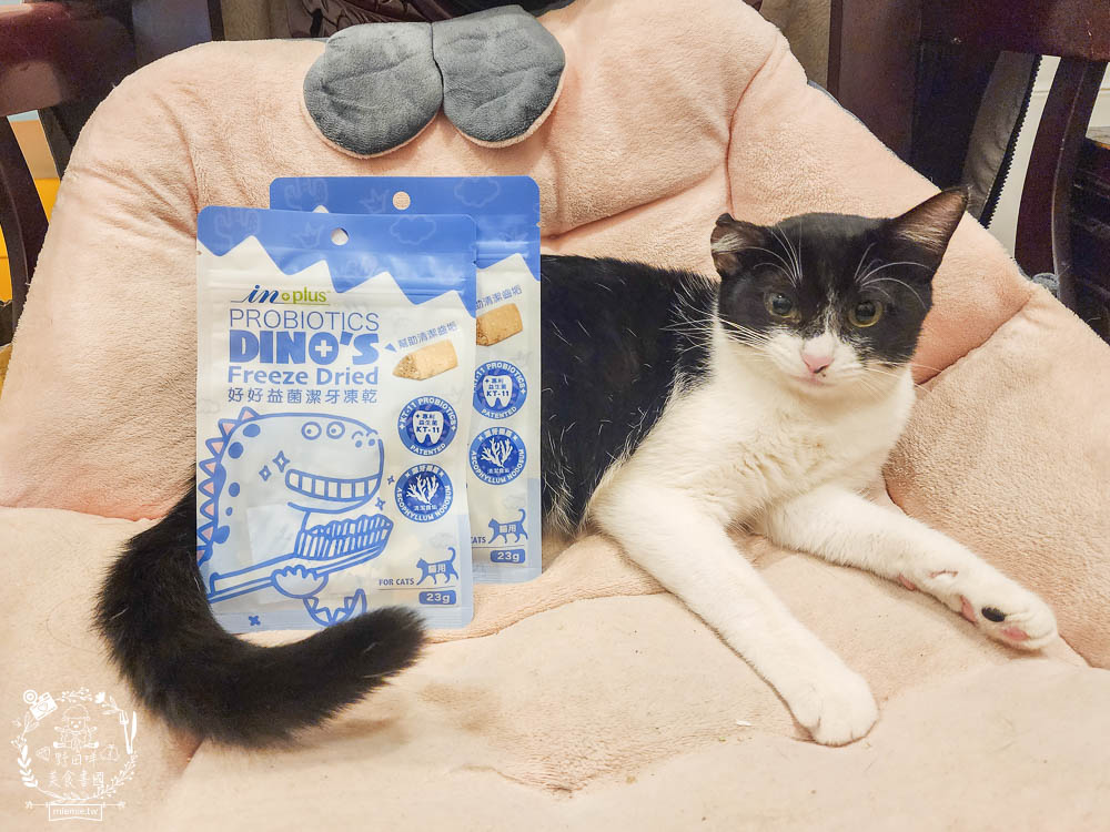 貓咪口臭推薦!IN-Plus好好益菌潔牙凍乾評價!鮮肉凍乾、好吃有效的貓咪口腔清潔保健分享