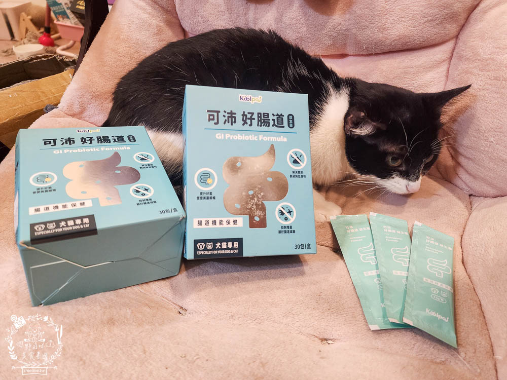 寵物益生菌推薦[Koolpal可沛寵藥好腸道益生菌]複合芽孢桿菌群幫助便便順暢又減少臭味!適口性佳益生菌推薦